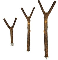 Looduslik puu oks linnuahven